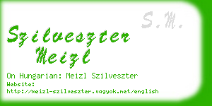 szilveszter meizl business card